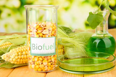 Maybole biofuel availability