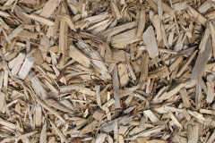 biomass boilers Maybole